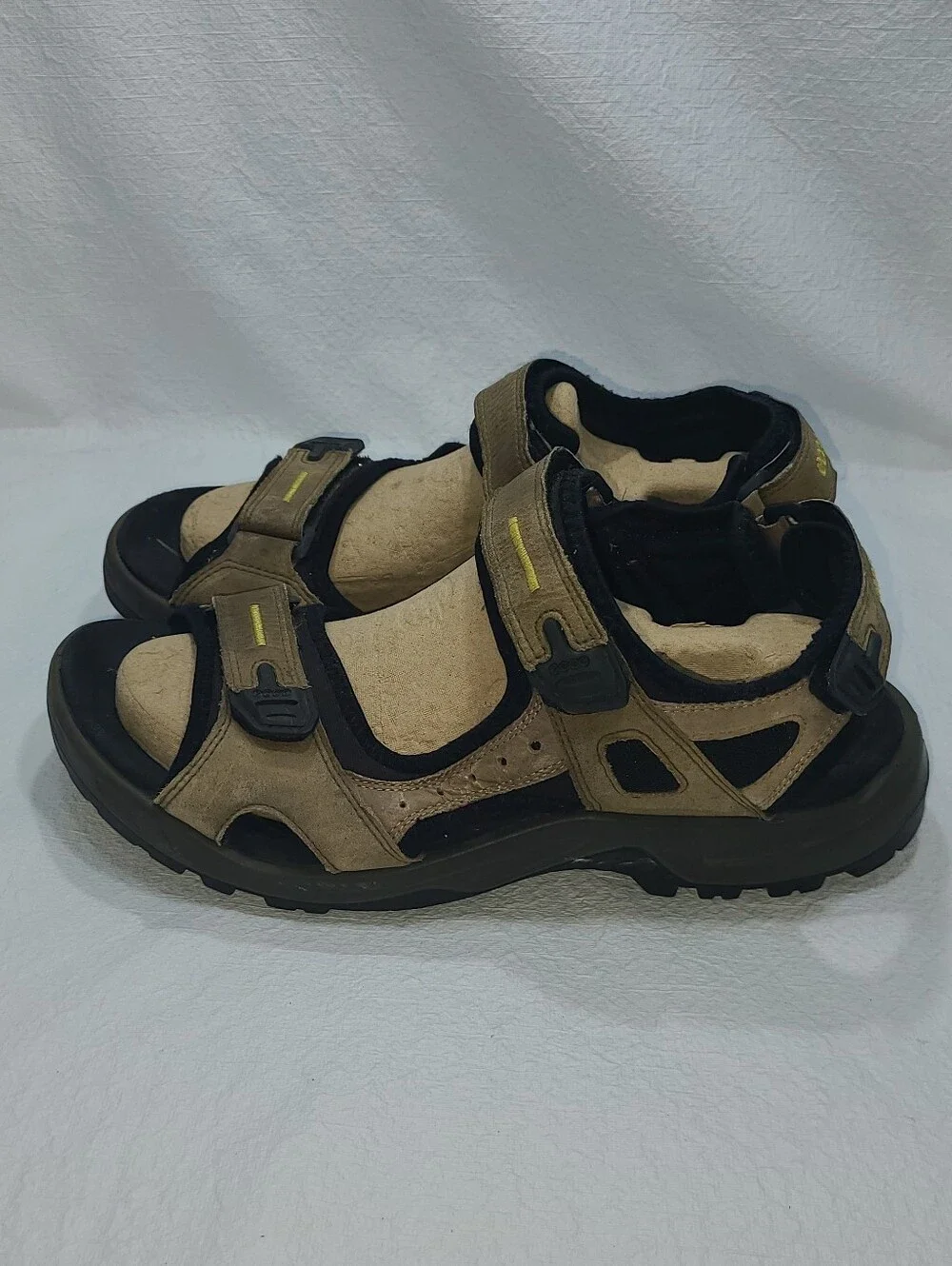 Ecco mens yucatan